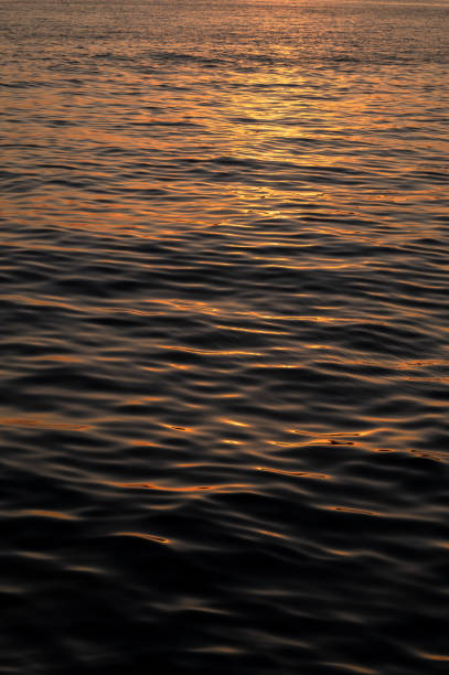 istock Blue sea surface with waves at sunset, sunrise. 2171269463