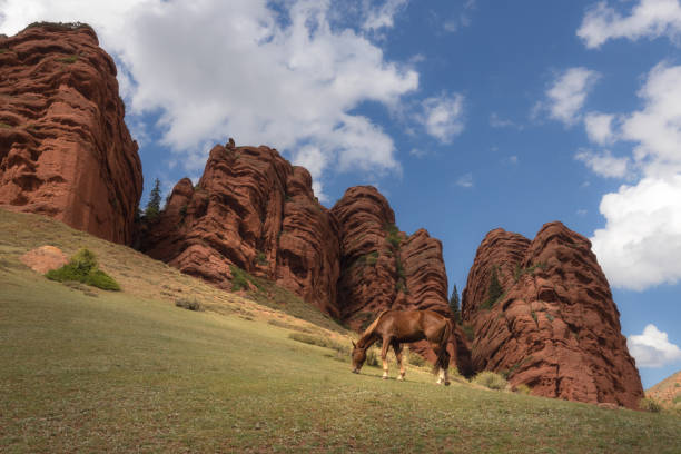 A  horse grazing on a scenic meadow under the famous red sandstone rocks Jeti Oguz