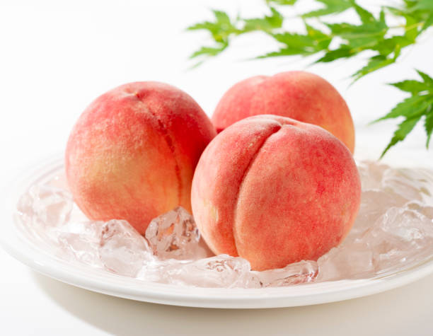 istock Cut peaches and ice on a plate on white background. 2171271866