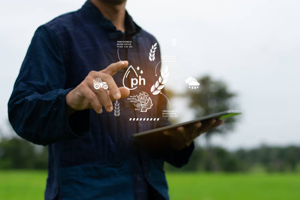 istock Farmers are using smart technology to produce more rice efficiently. 2171272551