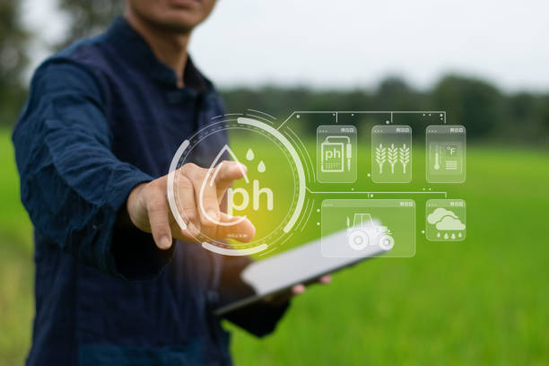 istock Farmers use intelligent farming technology and technical control to cultivate innovative agricultural concepts. 2171272578