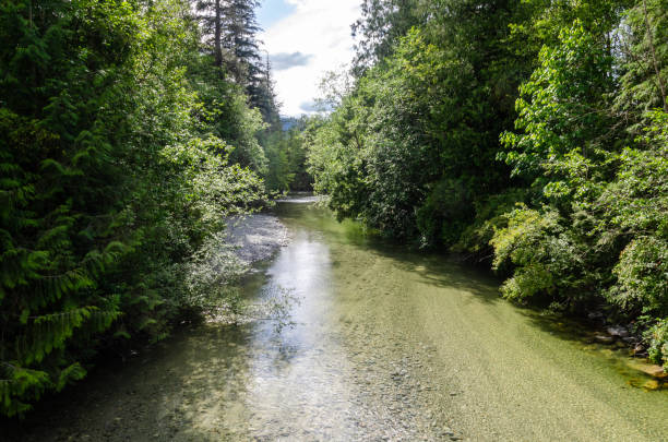 istock A rivulet with crystal clear water flowing down the mountains - tributary of Kettle River, BC, Canada 2171273913