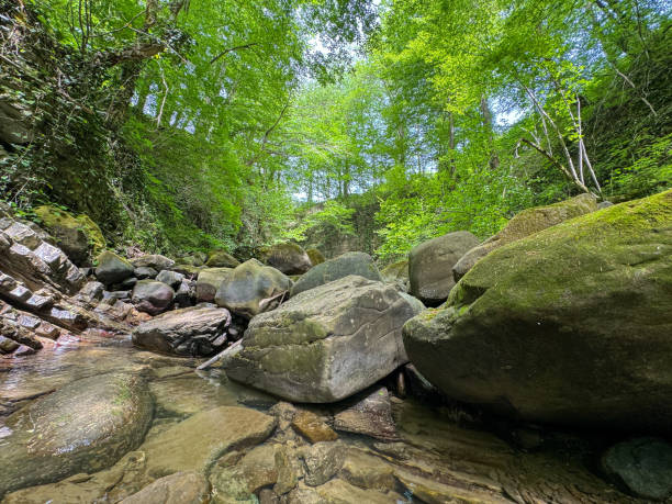 istock The river runs along the rocky cliffs in the mountains 2171276061