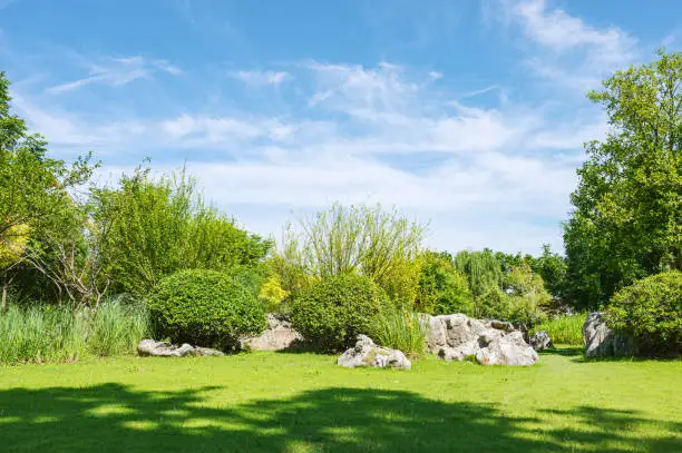 Landscape garden flowerbed with green lawn at a sunny day Landscape garden flowerbed with green lawn at a sunny day