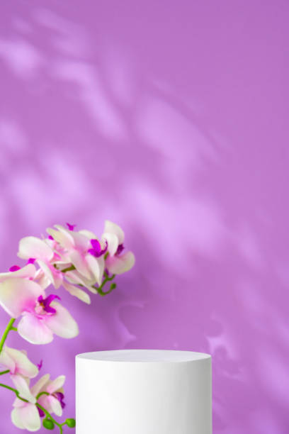 istock Purple backdrop with delicate orchids and a white cylindrical display in soft natural light 2171280466