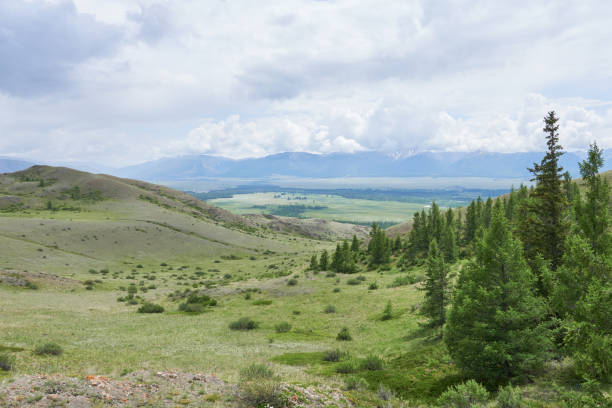 istock A valley landscape with rolling hills and pine forest. Mountainous terrain. 2171289211