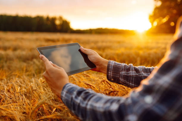 istock A young farmer using a tablet at sunset in a wheat field 2171290953