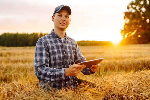 istock A young farmer using a tablet at sunset in a wheat field 2171290973