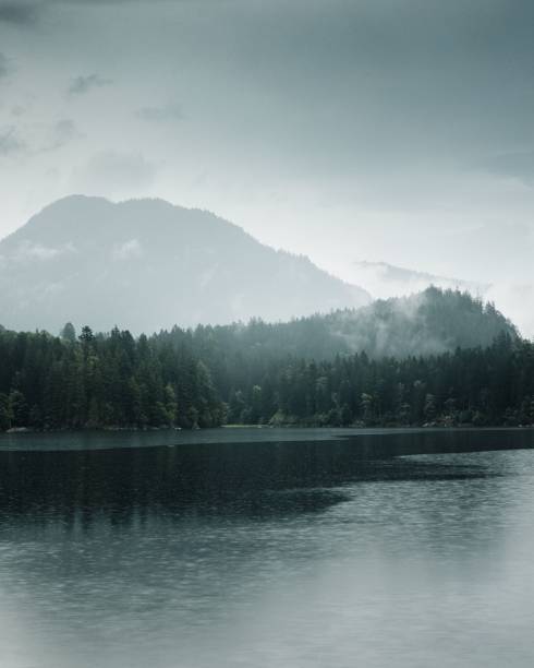 A serene view of a misty mountain range and forest reflected in a calm lake.