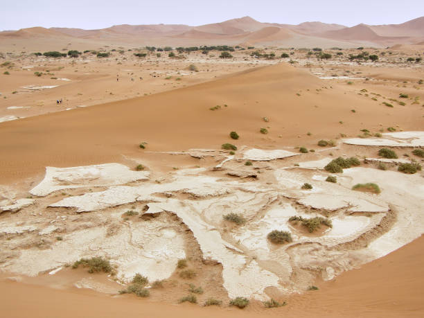istock stunning desert landscape 2171304799