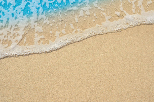 istock beautifully sand beach, closeup, top view 2171307914