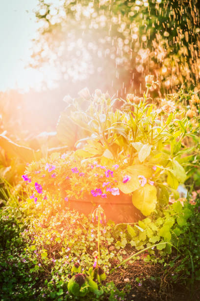 istock Floral Outdoor Background 2171309322