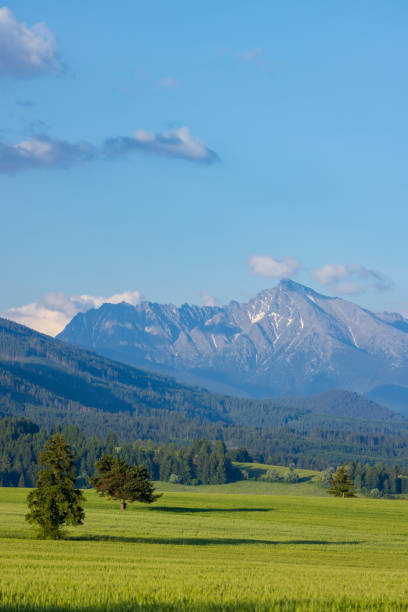 High Tatras with Krivan peak in spring time, Slovakia