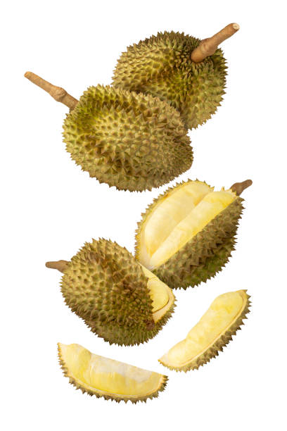 istock Falling Durian isolated on white background with clipping path, full depth of field 2171312565