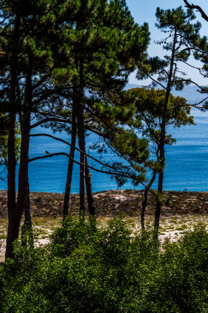istock Landscape in Cies Islands, Spain. 2171315008