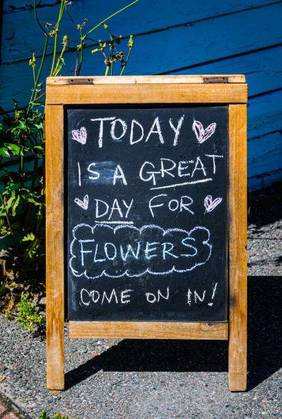 An outdoor A-frame blackboard promoting fresh flowers along a sidewalk in Corner Brook, Newfoundland on an August afternoon.