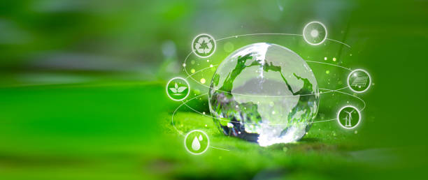 istock Crystal globe with sustainable development. Business cooperation for World sustainable environment social governance concept. Renewable and sustainable energy sources. 2171317177