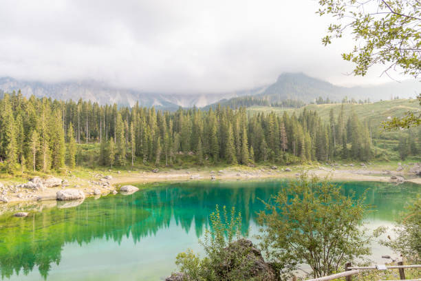 A peaceful alpine lake surrounded by pine trees, with misty mountains in the background. The lake's emerald green water reflects the serene natural beauty.