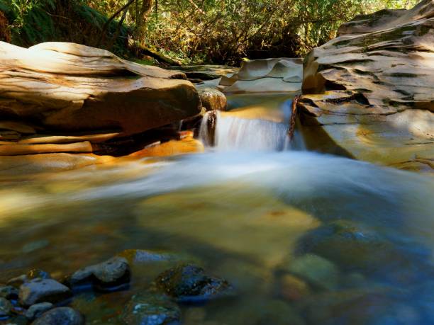 istock Serene forest stream flowing over smooth rocks. China Bowls, Cumberland, Canada 2171320193