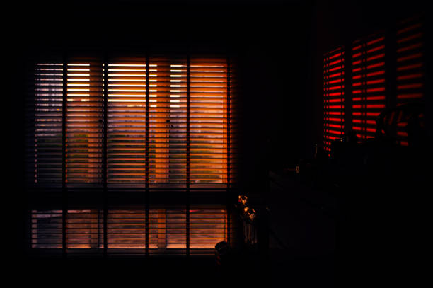 through the blinds you can see drops after rain on the window pane
