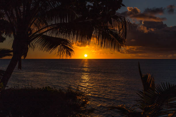 Setting sun over a tranquil ocean surface, seen through the framing of palm tree fronds. A serene ambiance of relaxation and escape, with subtle human activity visible in the distance.