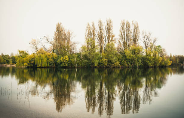 Island in a lake on a dreary gray spring day, different green and yellow tones, beautiful reflections
