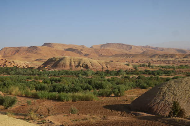 istock Wadi in Marokko 2171329955