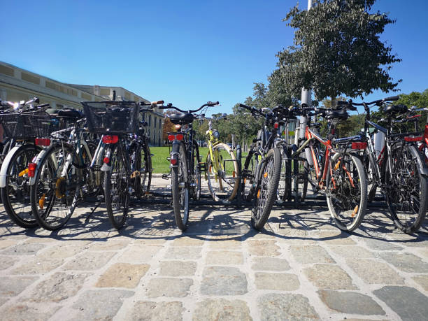 A row of various bicycles are lined up in bike racks on a sunny day, showcasing different types and brands of bicycles ready for use in an open, outdoor setting.