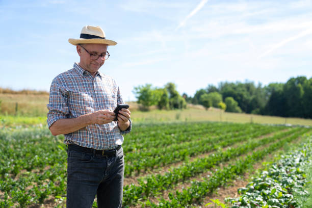 istock Farmer checking weather forecast on mobile phone in cultivated field 2171331886