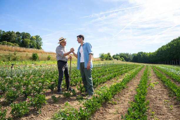 istock Precision farming expert shaking hands with farmer standing in cultivated field 2171332131