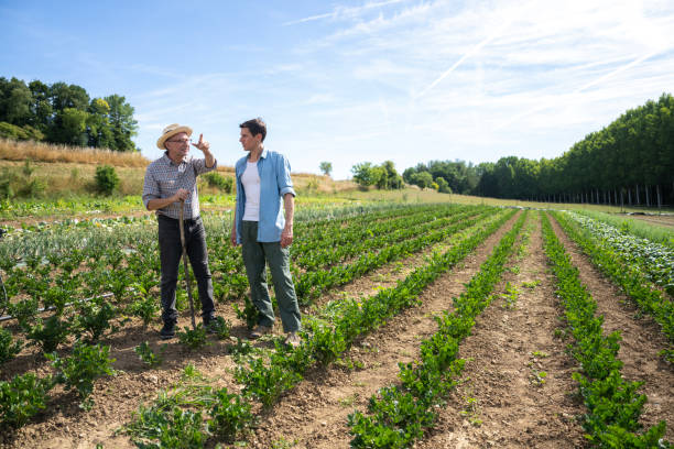 istock Farmer and agronomist talking in agricultural field 2171332151