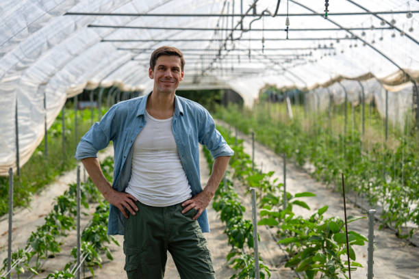 istock Young farmer inspecting his bell peppers crop inside greenhouse 2171333890