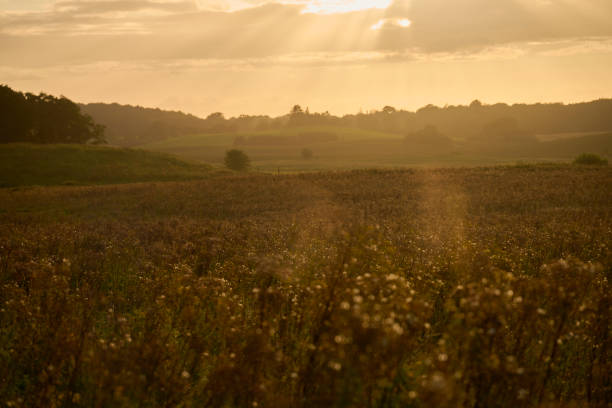 Sunset over land. Landscape with evening sun
