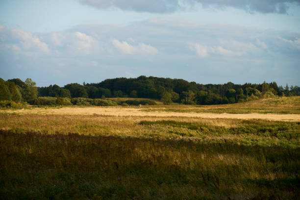 Sunset over land. Landscape with evening sun