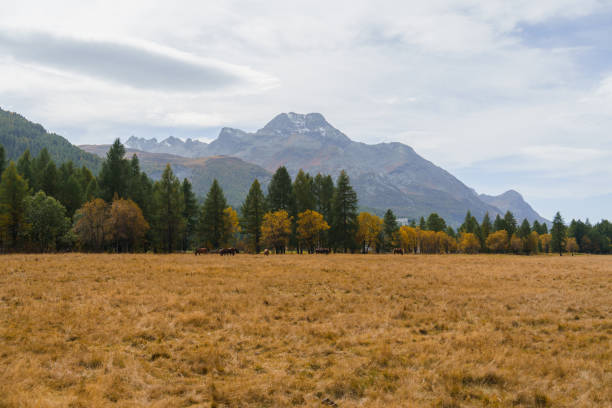 Scenic view of awe-inspiring rolling landscape in Alps in autumn