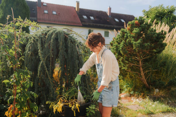istock Woman working with plants on the backyard 2171339897