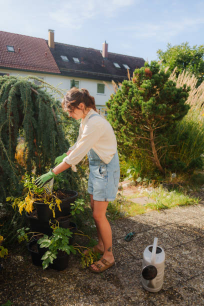 istock Woman working with plants on the backyard 2171339956