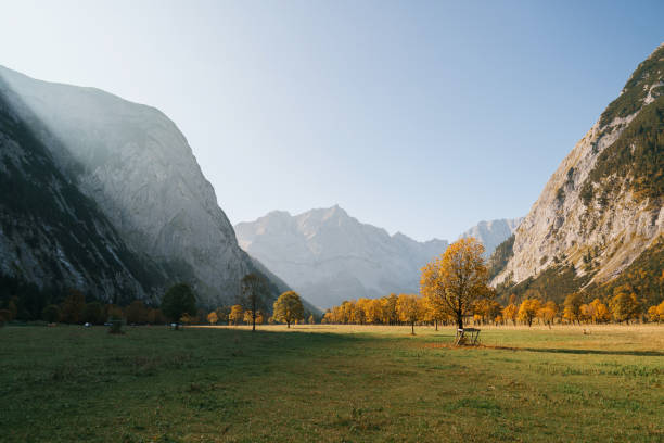 Scenic view of maple trees in the valley in Bavarian Alps in Karwendel mountains