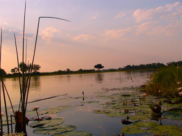 istock tranquil water scene, likely a lake or a river 2171341540