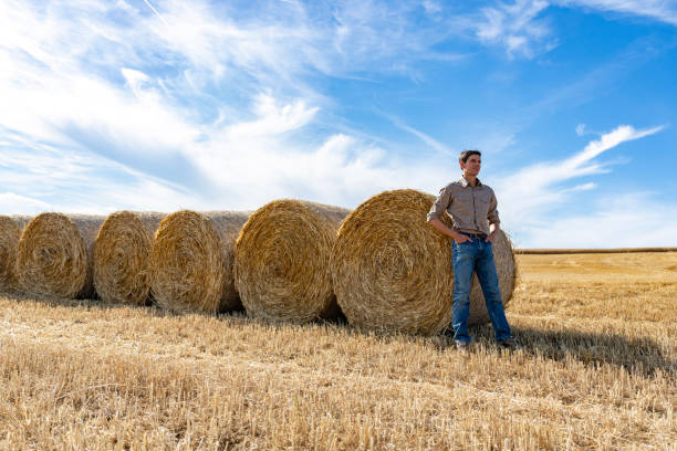 istock Young farmer standing next to large round hay bales in open field 2171343487