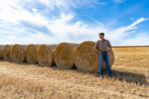 istock Young farmer standing next to large round hay bales in open field 2171343488