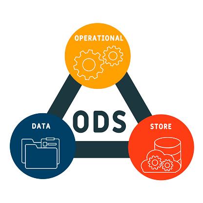 Lns Operational Data Store Ods Operational Data Store Stock Illustration - Download Image Now ...