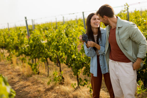 istock Couple enjoying a sunny day in a vineyard, admiring freshly picked grapes while walking through lush green rows of vines in late afternoon light 2171343826