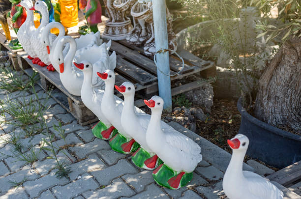 Ducks walking by the lake in Funchal botanical garden in Madeira. Exotic island views. Travel destinations.