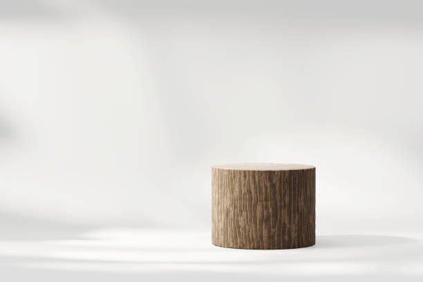 istock 3D rendering abstract wooden platform podium product presentation backdrop 2171344183