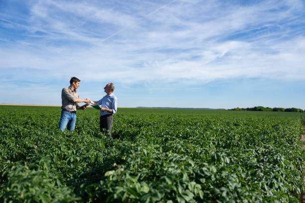 istock Young agronomist shaking hands with farmer while standing cultivated field 2171344378