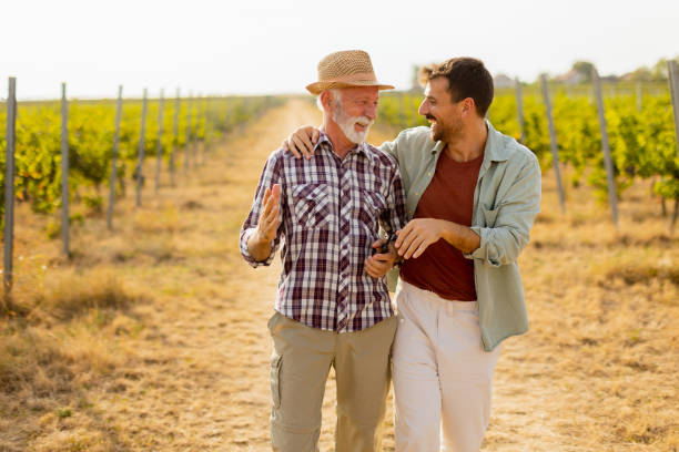 istock Two men stroll through a sunlit vineyard, sharing laughter and stories on a warm afternoon, surrounded by lush green vines 2171344896