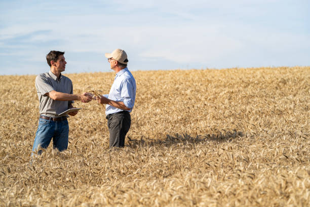 istock Agronomist shaking hands with farmer while assessing state of wheat field 2171347842