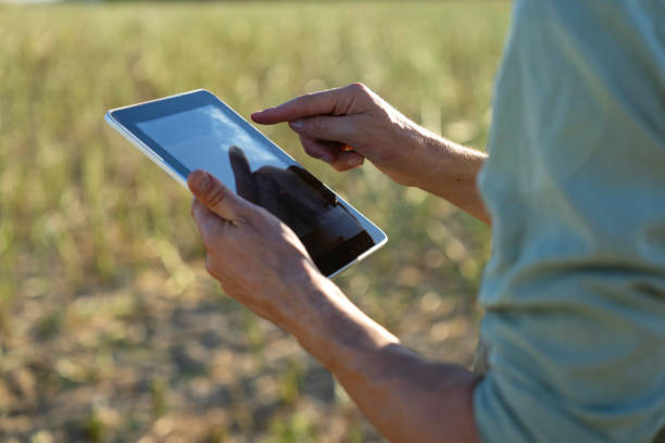 istock Unidentified person holding digital tablet  while standing in cultivated field at sunset 2171348334