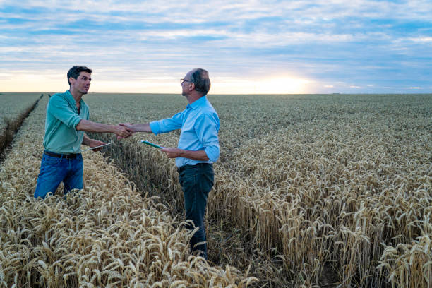 istock Farming expert shaking hands with farmer while standing inside cultivated farmland 2171348675